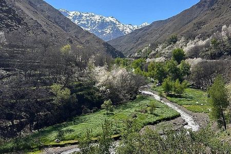 Marrakech: High Atlas Mountains, Imlil Valley & Waterfalls Hike