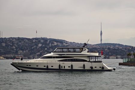 Bosphorus Cruise on Luxury Yacht with Live Guide & Asiaa Stop