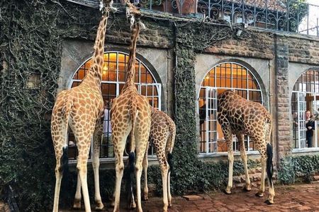 Giraffe Center Karen Blixen and Kobe Beads Day Tour