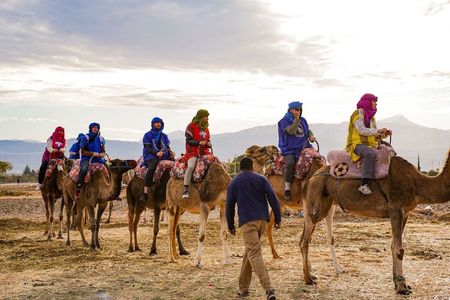 Atlas Mountains Day Trip from Marrakech: Camel Ride and Lunch