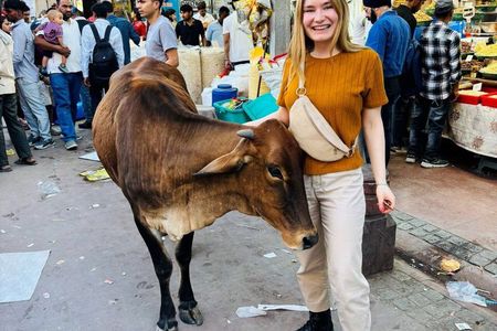 Old and New Delhi City Tour - Half or Full Day Options Available
