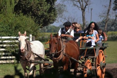 Excursion to typical estancia in the Argentinian Pampas with lunch and gauchos