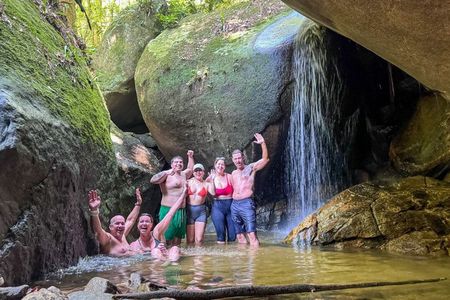 Tijuca Forest: Secret Waterfalls and Walk with Local Guide