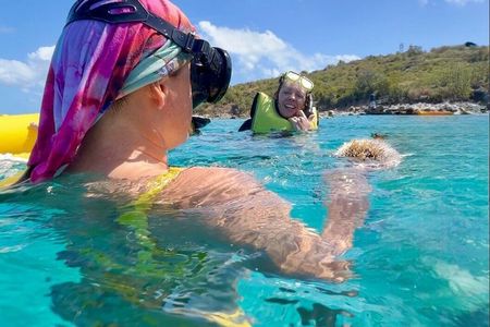 Half Day Luxury Catamaran Sail And Turtle Snorkel