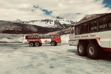 Banff to Jasper Columbia Icefield Private Tour via Icefields Pkwy