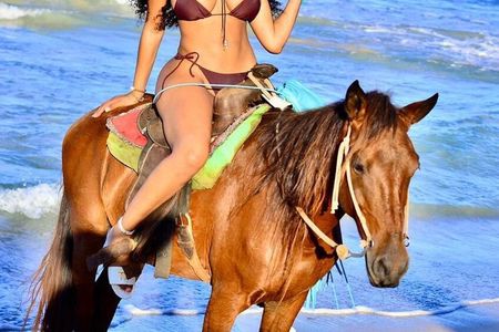 Horse Back Riding Adventure in Punta Cana