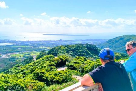 All-Inclusive Ishigaki Island Private tour with English Guide
