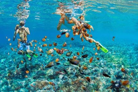 Bali Blue Lagoon Snorkeling with Private Transfer & Lunch