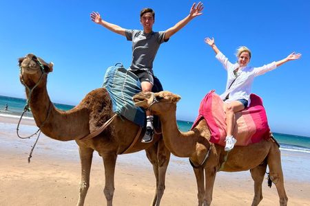 Tangier Luxury Half-Day Private Tour & Camel Ride