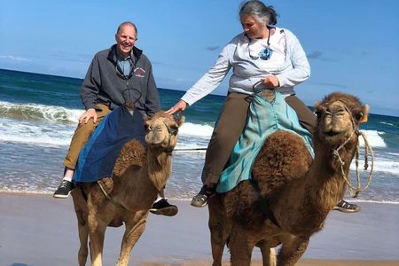 Tangier 4h Private Highlights Tour & Camel Ride Experience