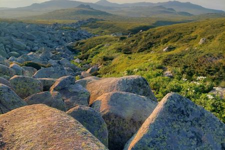 Sofia from above: Vitosha Mountain Nature Hike with Private Guide