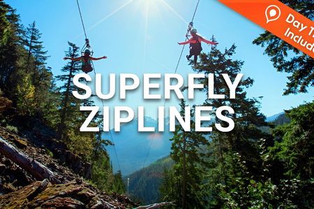 Superfly Ziplines on Cougar Mountain - includes 4 ziplines!
