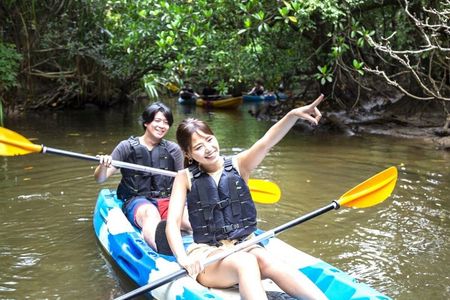 Okinawa Iriomote Mangrove SUP or Canoe Tour
