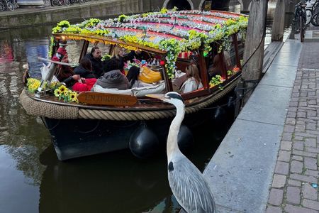 Amsterdam Boat tour with Unlimited Drinks available at checkin