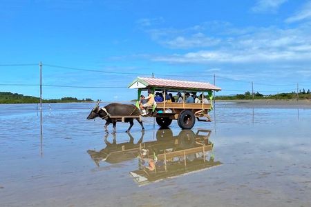 Okinawa Iriomote SUP or Canoe and Sightseeing in Yubujima Island