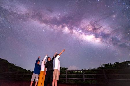 Okinawa Iriomotejima Night Adventure Tour