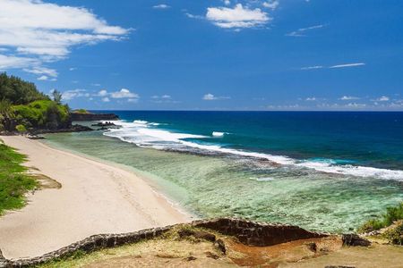 Mauritius Tea Plantations and Colonial Estates Tour with Lunch