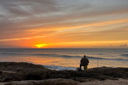 Rincón Full-Day Tour, North Coast Beaches, Waterfalls & Rincón
