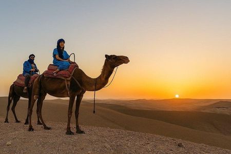 Private Agafay Desert Camel Ride, Dinner & Fire Show Marrakech