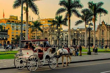 Lima Highlights Half-Day Tour + pick-up : Historic Center, Catacombs