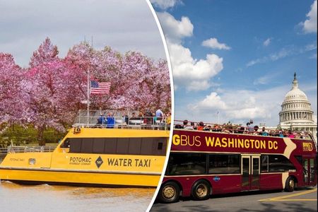 Unlimited Water Taxi Pass & Hop-on Hop-off Sightseeing Bus Tour