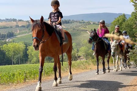 Small Group Horseback Riding Wine Tour, San Gimignano, Lunch