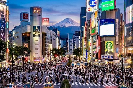 Private Curated Tour | Get Tokyo’s Must Sees & Unique Insights