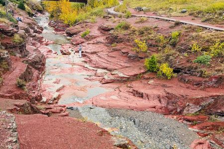 Waterton National Park Scenic Day Tour from Calgary