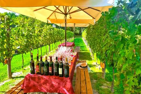 San Gimignano Wine Tasting & Tuscan Dinner at a Local Winery