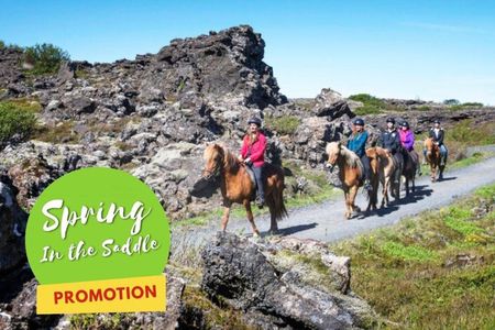 Icelandic Horseback Riding Tour with Pickup Option from Reykjavik
