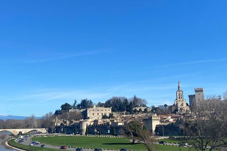 Exclusive, local and fun food & wine tour in Avignon