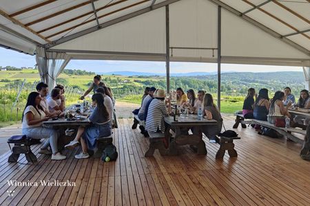 Wieliczka Vineyard: Wine tasting with local snacks