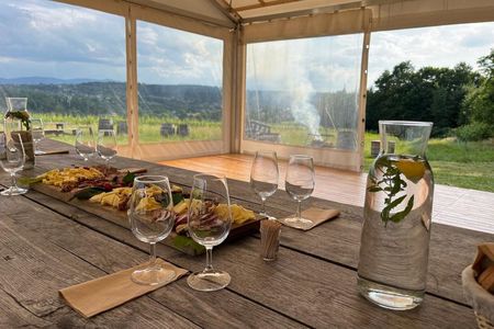 Wieliczka Vineyard: Wine tasting with local snacks