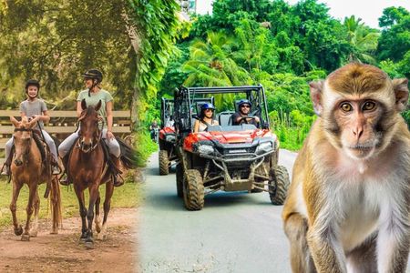 Visit to a local Ranch Plantation with Monkeys Horseback & Buggy