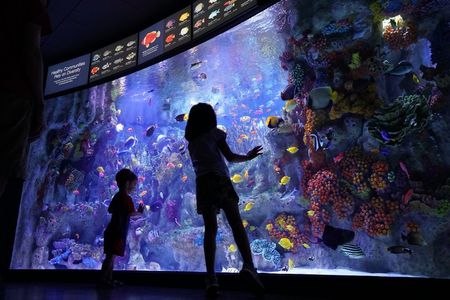 New England Aquarium Admission Ticket