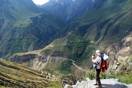 Colca Canyon Tour 1 Day from Arequipa
