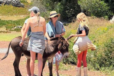 Berber Life: Essaouira Countryside Walk with Donkey