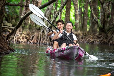 Okinawa Ishigaki Mangrove SUP or Canoe Tour