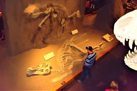 Private Day of Dinosaurs & Hoodoos from Calgary to Badlands