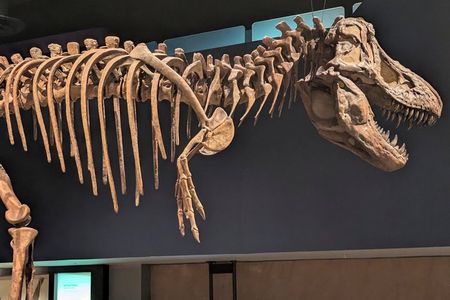 Guided Small Group Badlands Tour: Calgary to Drumheller Dinosaurs