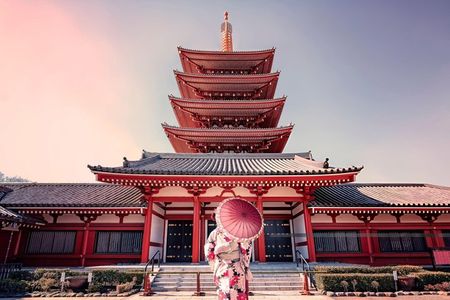 Best of Tokyo Guided Half Day City Tour with a local
