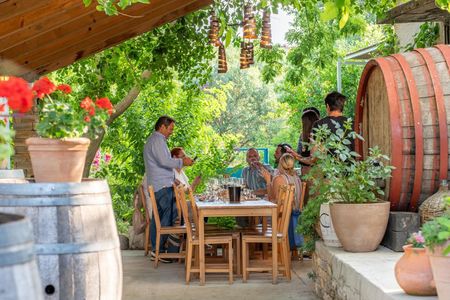 Split/Trogir/Kastela: Krka Private Tour - option: Wine Tasting