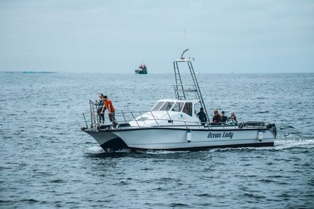 Mola Mola Day with Beach Braai Lunch