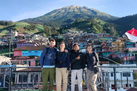 Nepal Van Java and Kedung Kayang Waterfall tour from Yogyakarta