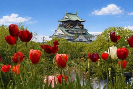 Explore Osaka Flavors and Landmarks