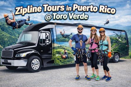 Special Offer: Toro Verde 7-Zipline Tour + The Monster +Transport