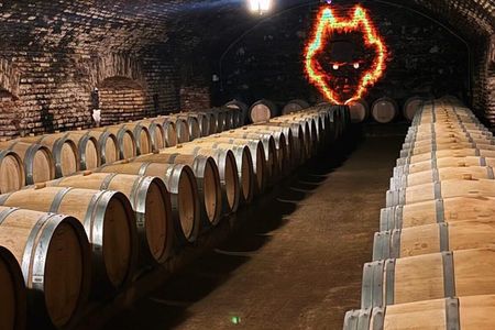 Premium Tour at Concha y Toro Winehouse with Tasting