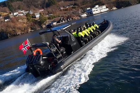 Bergen: Mostraumen Fjord Safari - by Premium RIB Boat