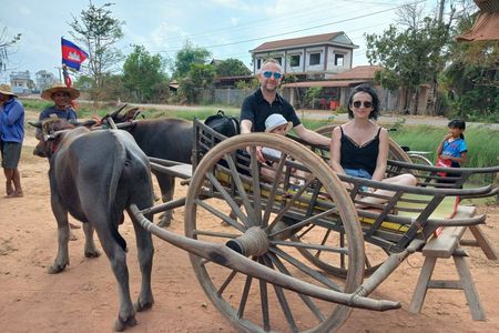 Buffalo Cart Tours & Walking Tours in the Villages