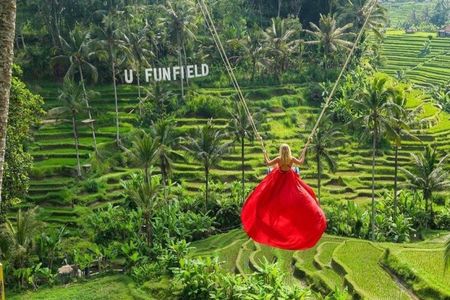 Ubud: Monkey Forest, Jungle Swing, Rice Terrace and Water Temple